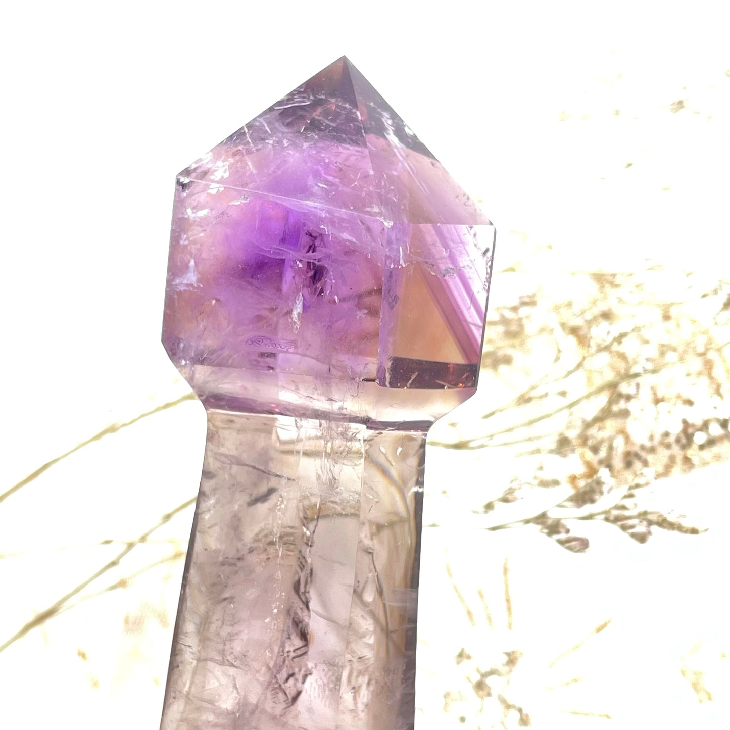 冰溏心隱山紫骨幹權杖