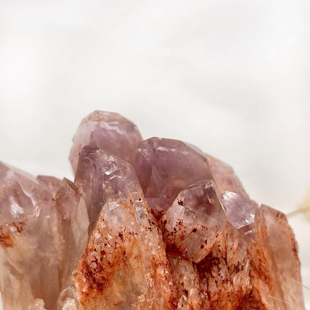 稀有剛果菠蘿骨幹紅泥紫水晶